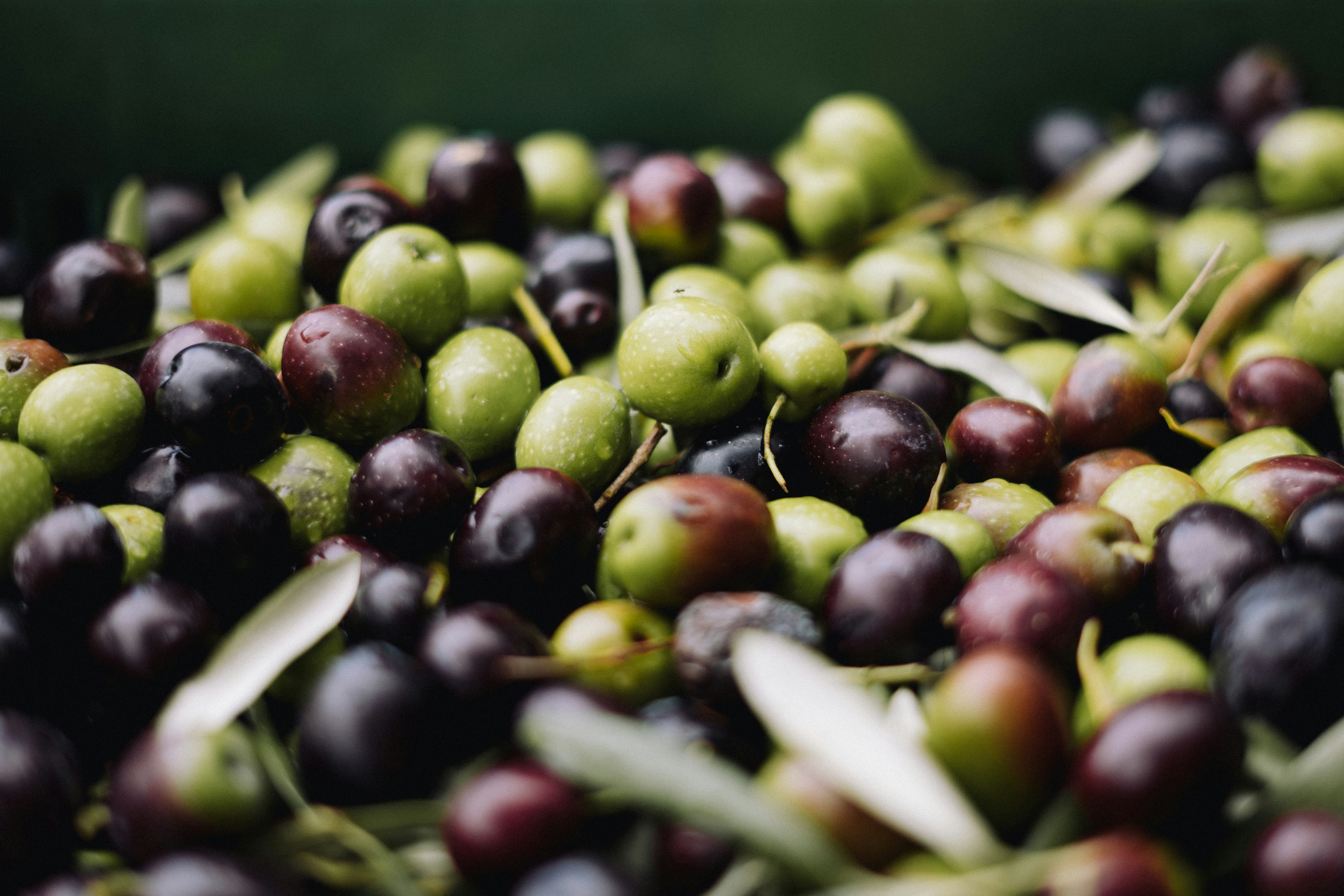 olives_image