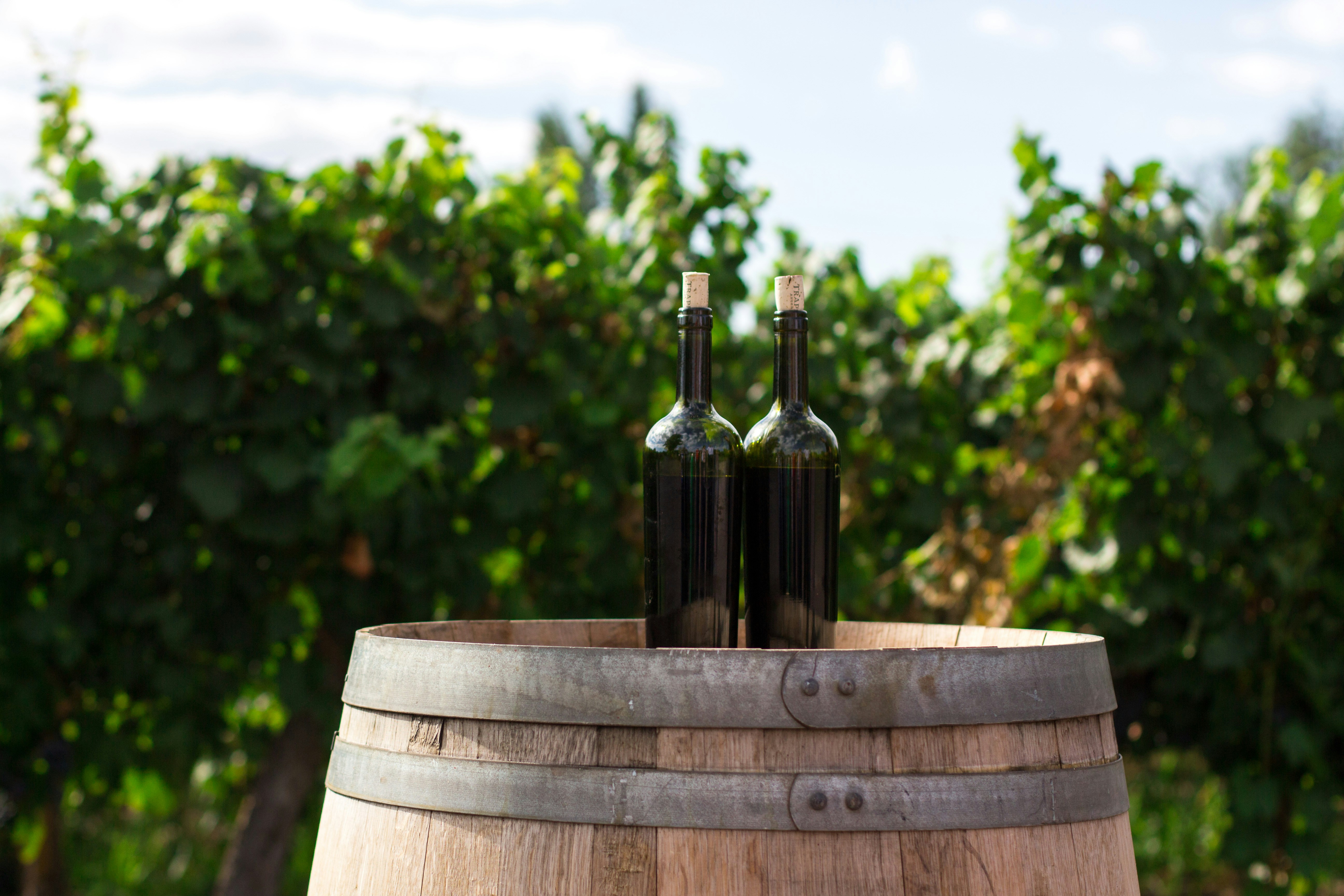 wine_image