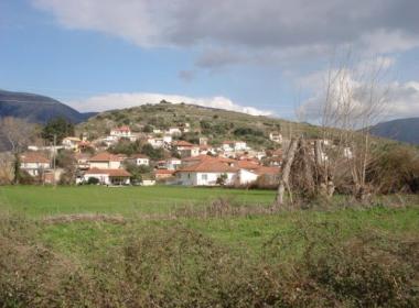 kastri_image