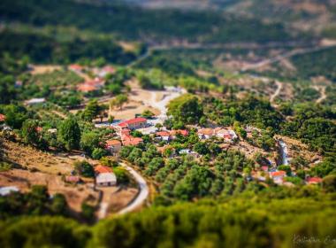 korifoula_image