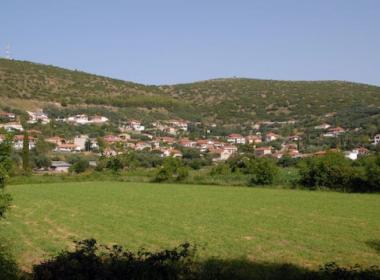 mouzakaika_image