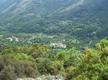 skepasto_image