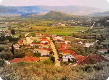 themelo_image
