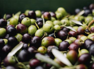 olives_image