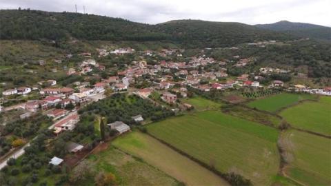 kipseli_image