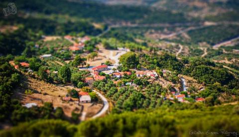 korifoula_image
