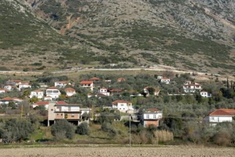 narkissos_image