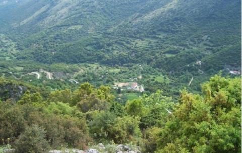 skepasto_image