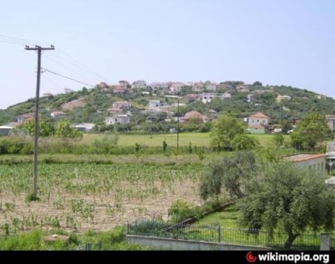 valanidorraxi_image
