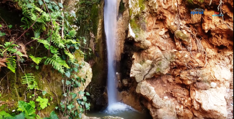 katarraktis_anthousa_image